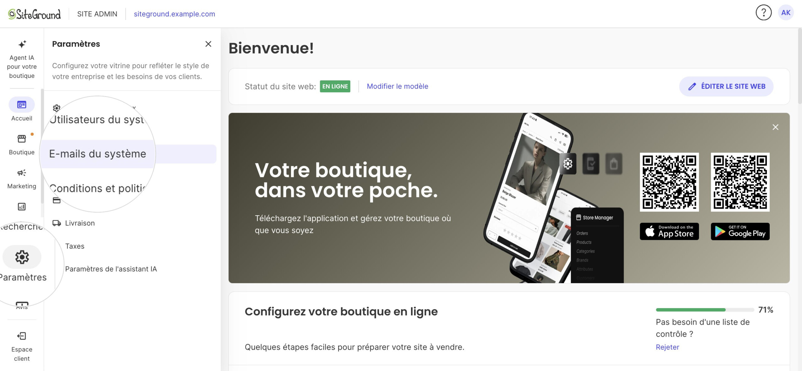Site Admin avec le panneau Paramètres ouvert et E-mails du système mis en évidence, tous deux agrandis
