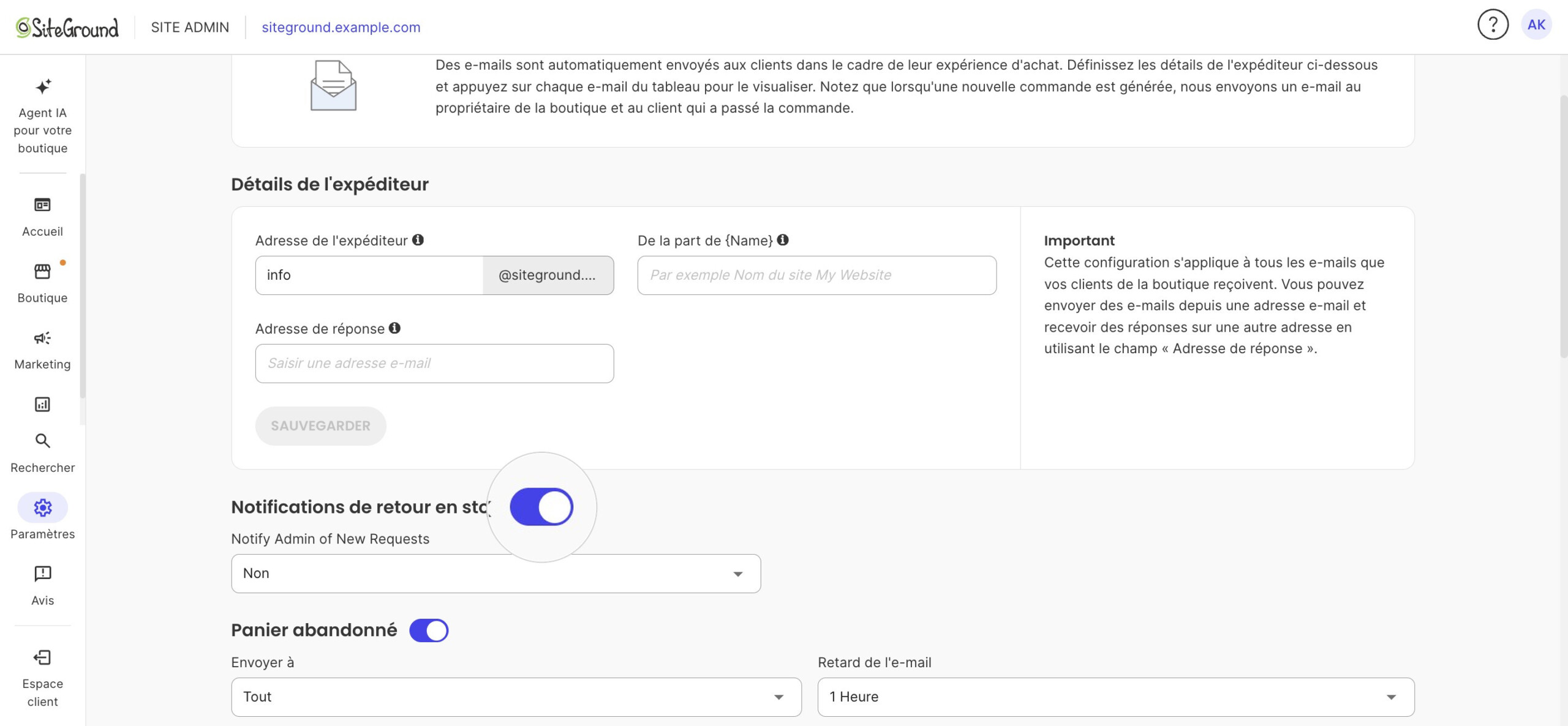 E-mails du système : bouton Notifications de retour en stock activé et agrandi, valeur actuelle Non